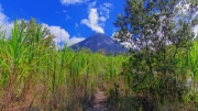 03 - Volcan Arenal (12)